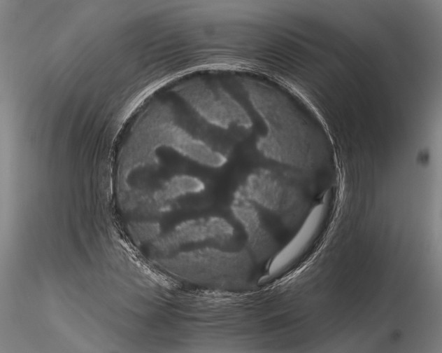 X0000116120829200912071344