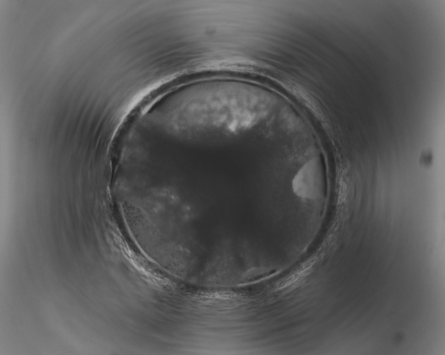 X0000116120830200912071344