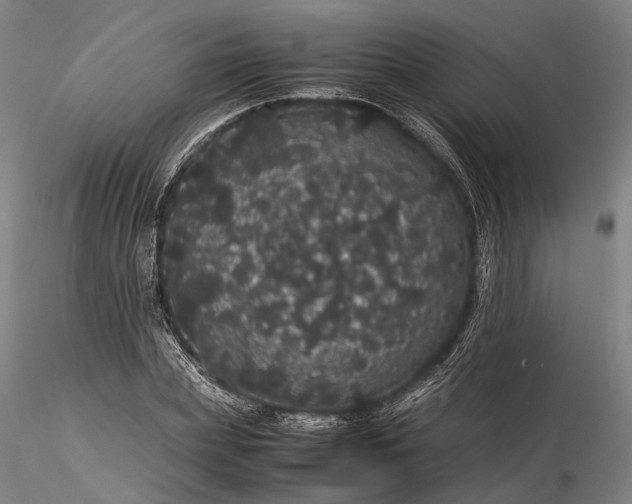 X0000116120831200912071344