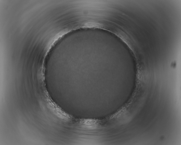 X0000116120832200912071344