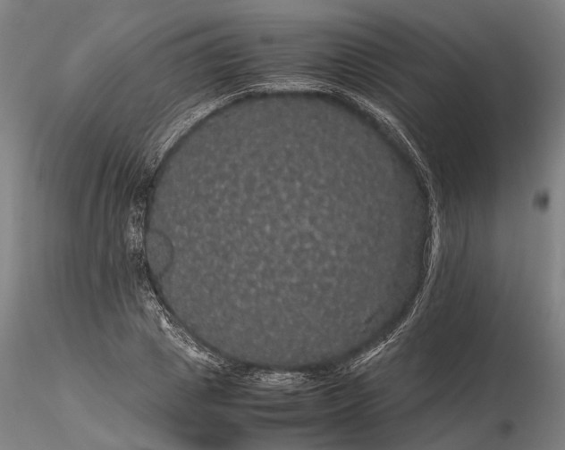 X0000116120833200912071344