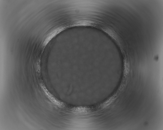 X0000116120834200912071344