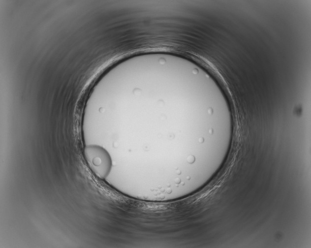 X0000116120835200912071344