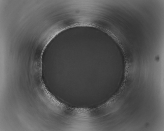 X0000116120836200912071344