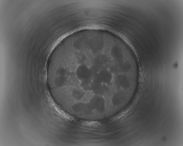 X0000116120837200912071344