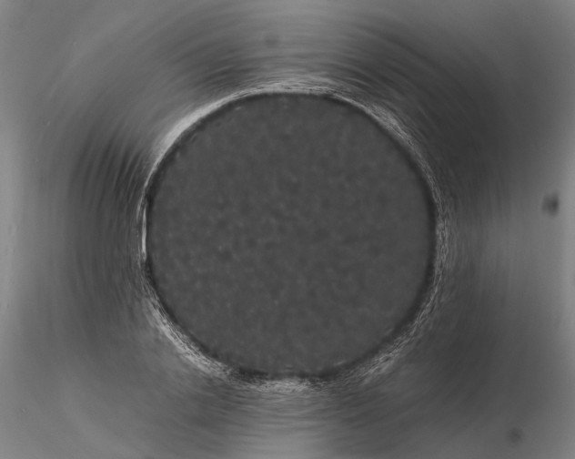 X0000116120838200912071344