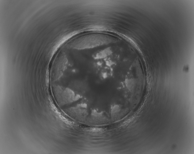 X0000116120839200912071344