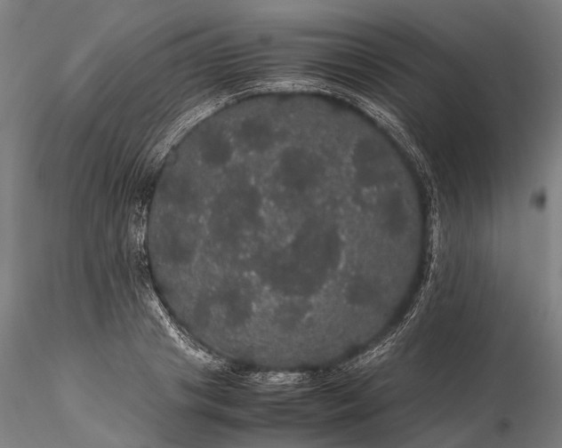 X0000116120841200912071344