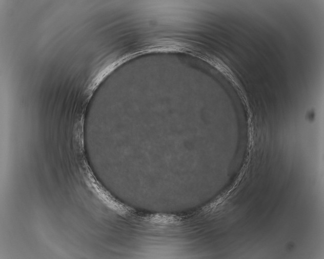 X0000116120842200912071344