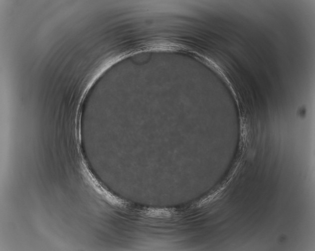 X0000116120843200912071344