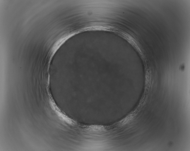 X0000116120844200912071344