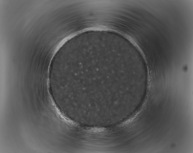 X0000116120845200912071344