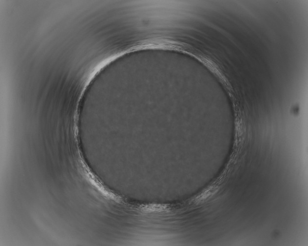 X0000116120846200912071344