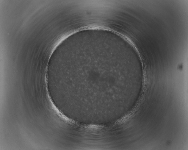 X0000116120847200912071344