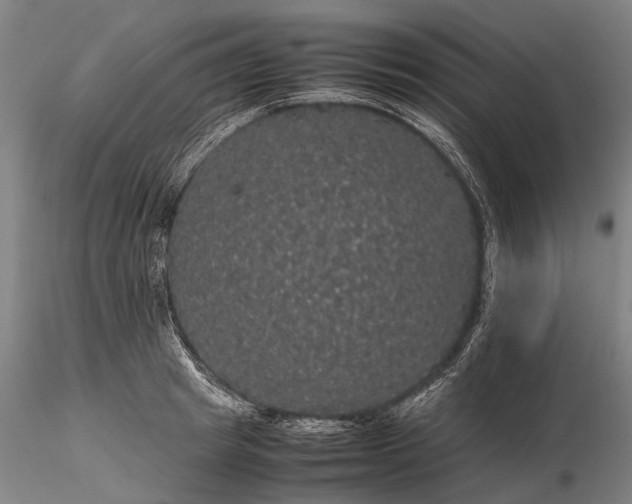 X0000116120849200912071344