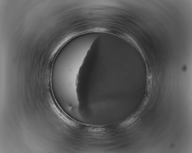 X0000116120851200912071344