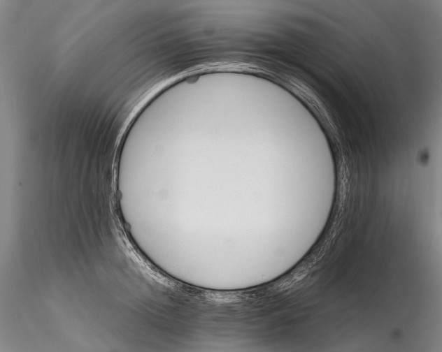 X0000116120852200912071344