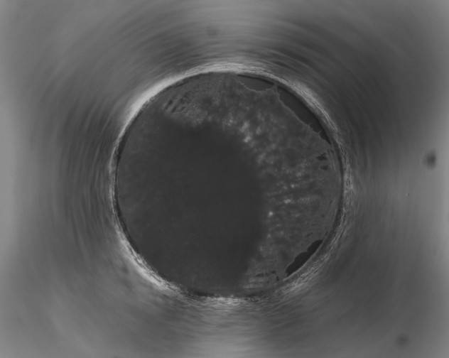 X0000116120854200912071344