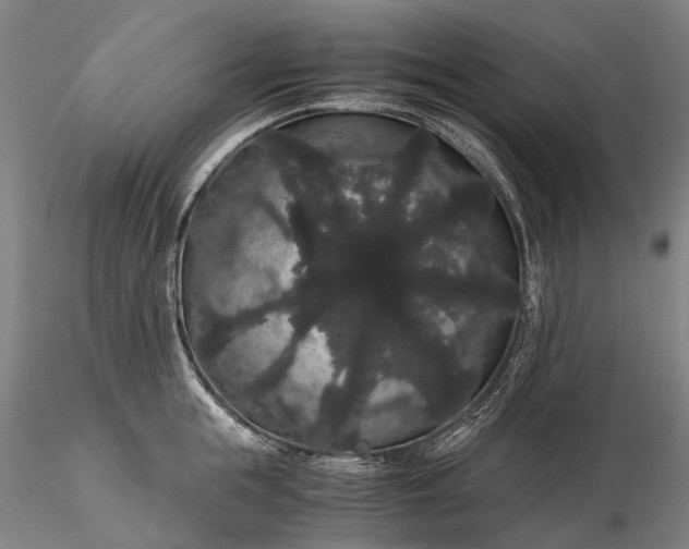 X0000116120855200912071344