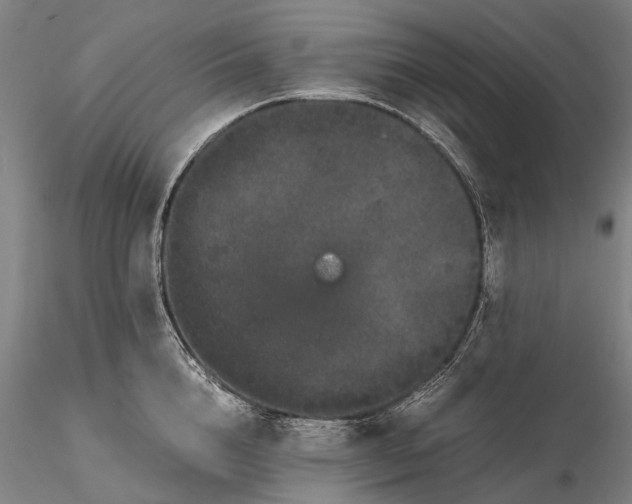 X0000116120856200912071344