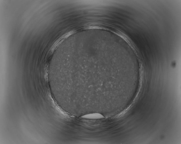 X0000116120857200912071344