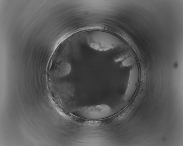 X0000116120858200912071344