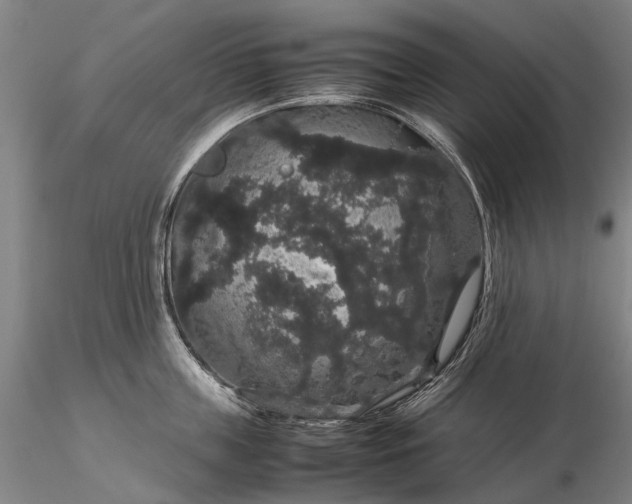 X0000116120859200912071344