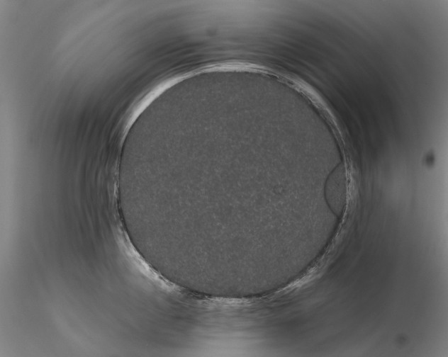 X0000116120860200912071344