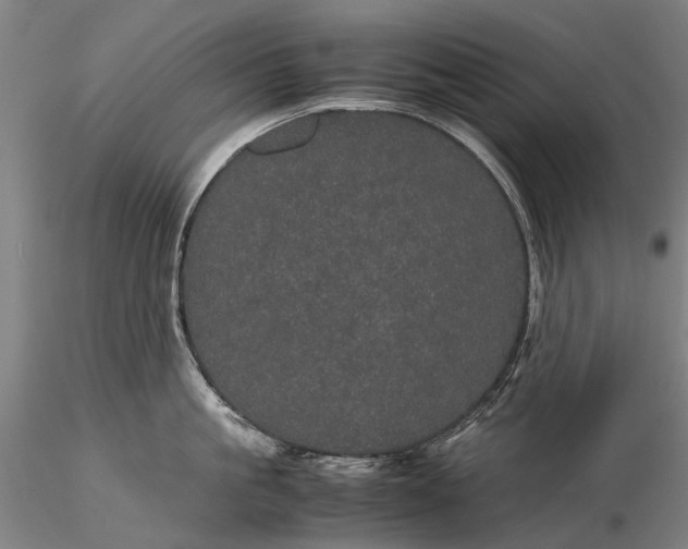 X0000116120861200912071344