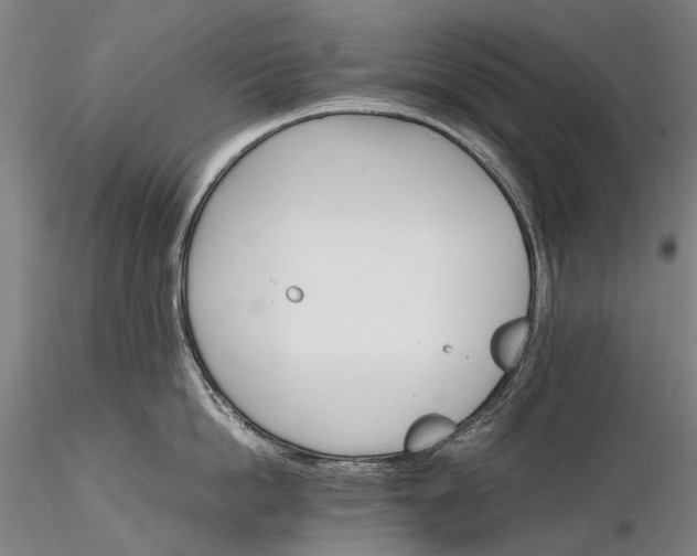 X0000116120862200912071344