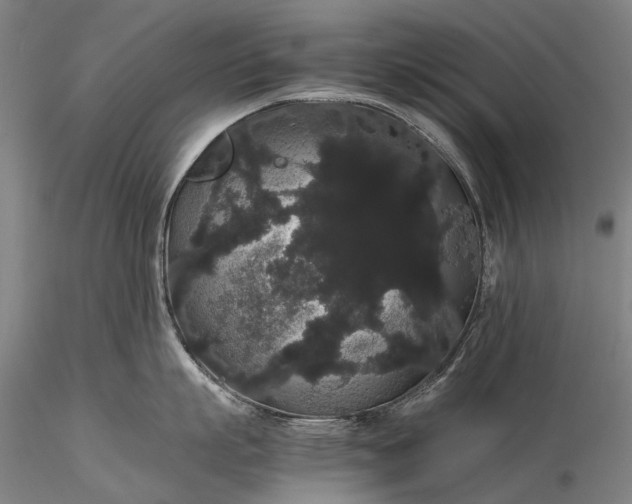 X0000116120863200912071344