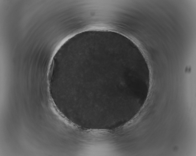 X0000116120864200912071344