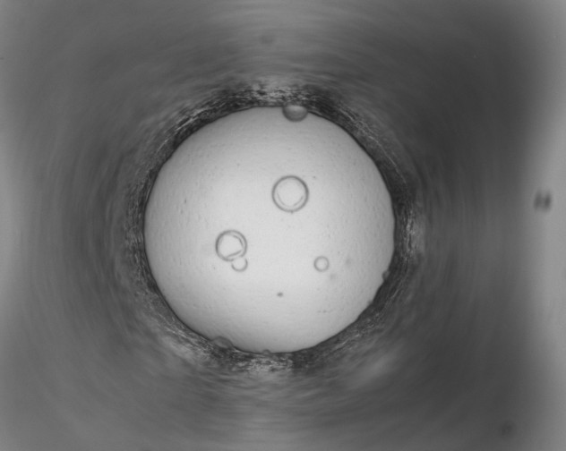 X0000116120865200912071344