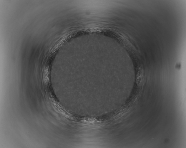 X0000116120866200912071344