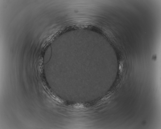 X0000116120867200912071344