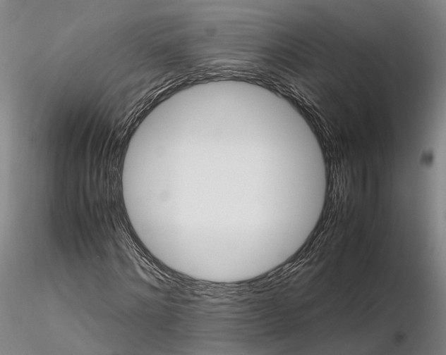 X0000116120868200912071344