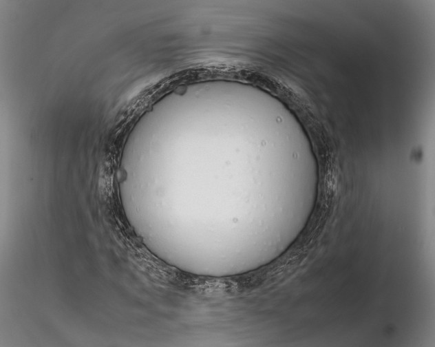 X0000116120869200912071344