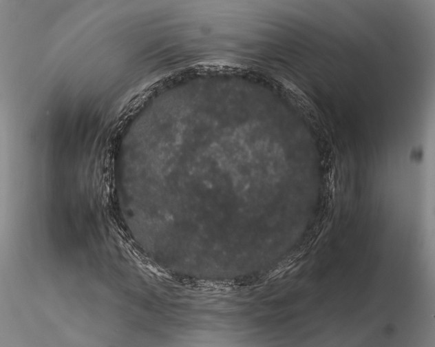 X0000116120870200912071344