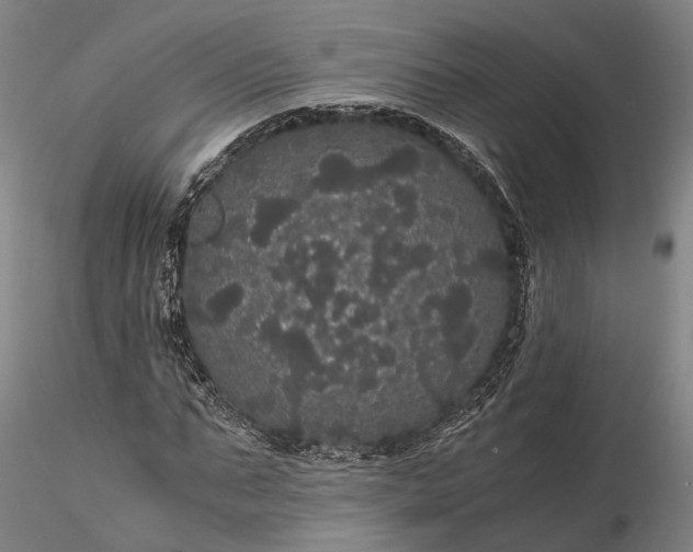 X0000116120871200912071344