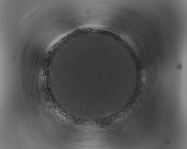 X0000116120872200912071344