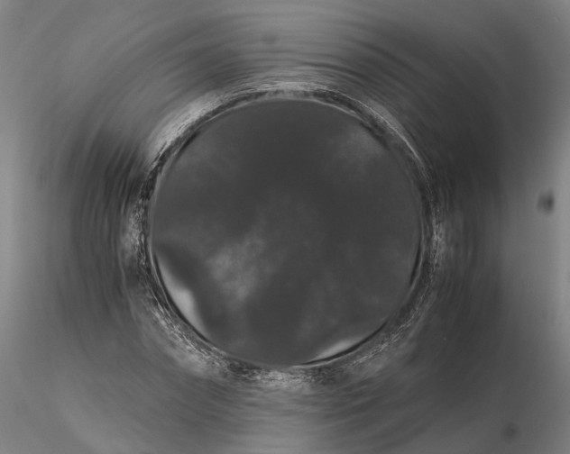 X0000116120874200912071344