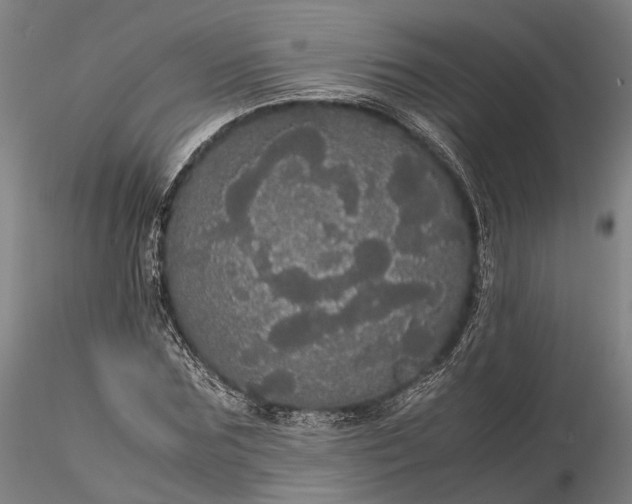 X0000116120875200912071344