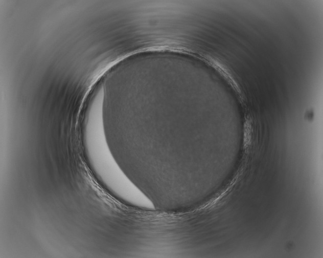 X0000116120876200912071344