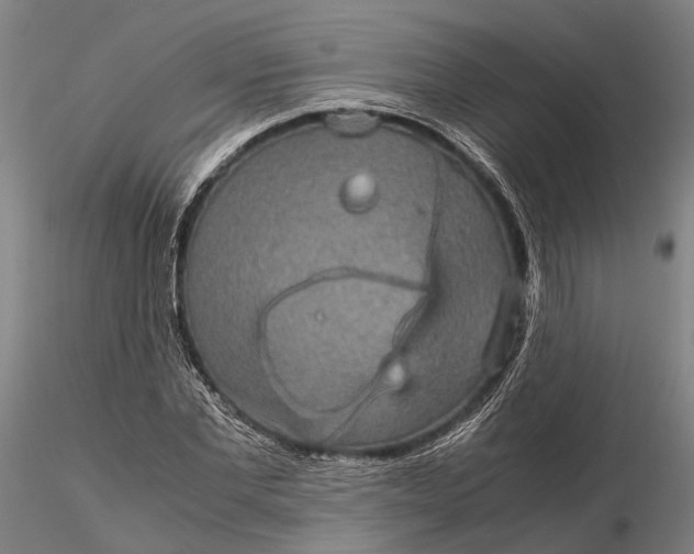 X0000116120877200912071344