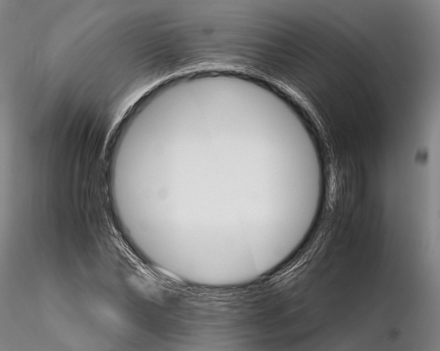 X0000116120878200912071343