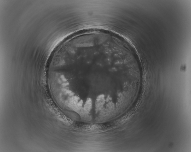 X0000116120879200912071343