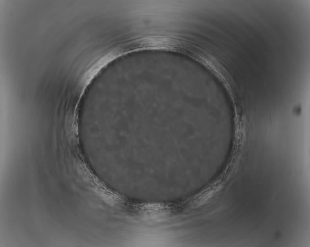 X0000116120883200912071343