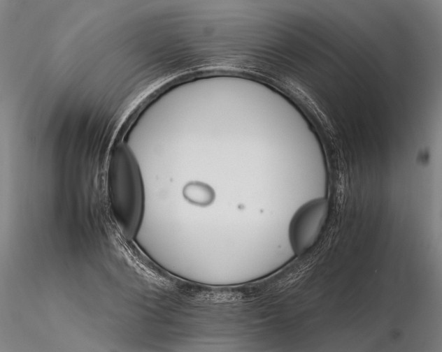 X0000116120884200912071343