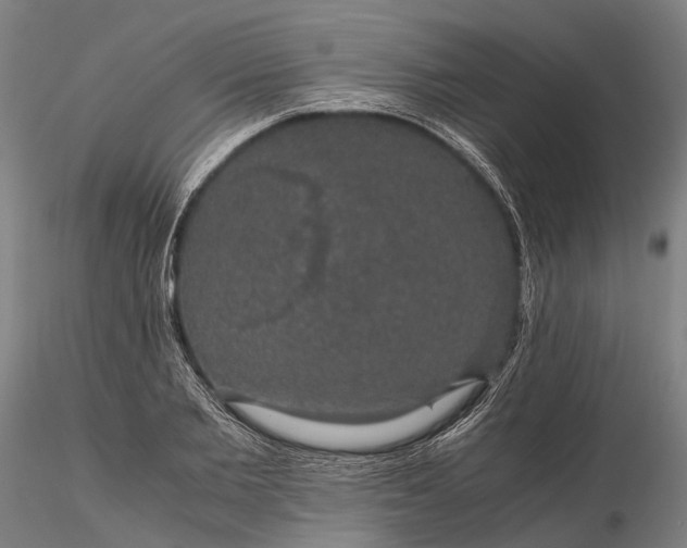 X0000116120885200912071343