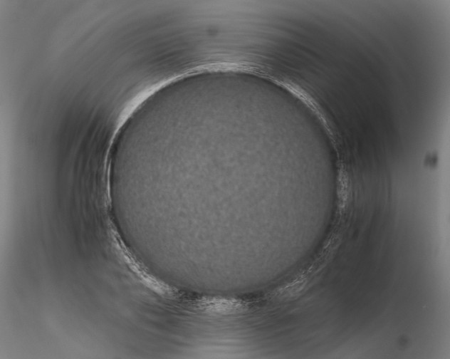 X0000116120886200912071343